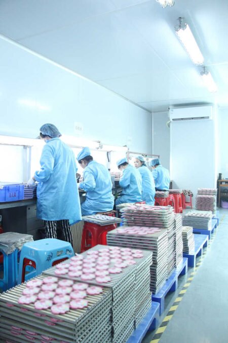 2022–2026 YAZS Longtian Factory