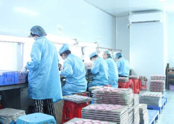 2022–2026 YAZS Longtian Factory