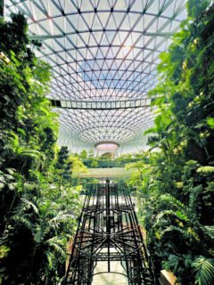 2025 Malaysia-Singapore Tour